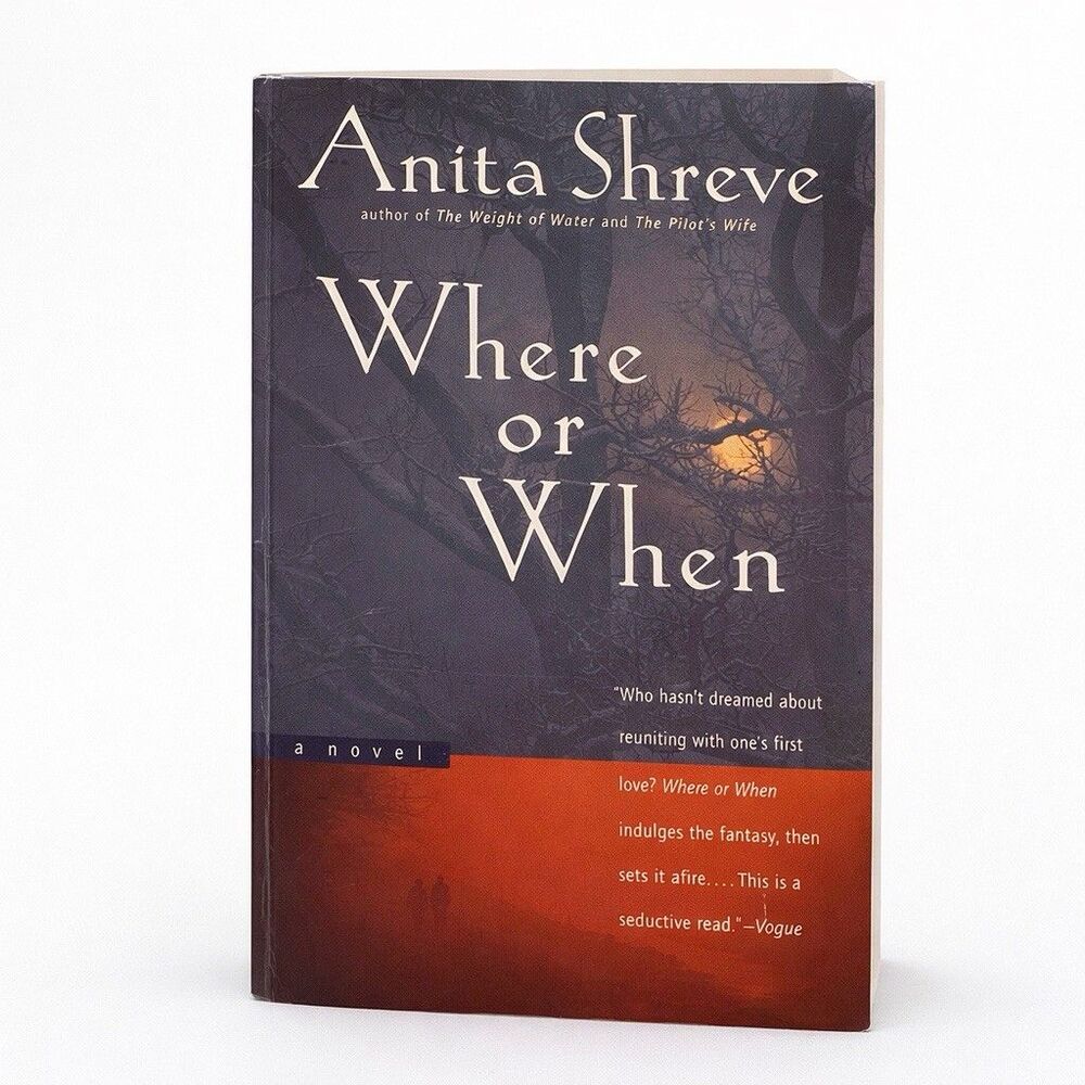 Where or When A Novel - By Anita Shreve First Harvest Edition PB VG Condition